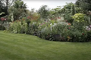 General Border Maintenance